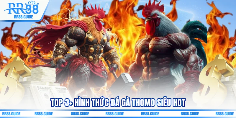 Top 3+ hình thức Đá gà Thomo siêu hot
